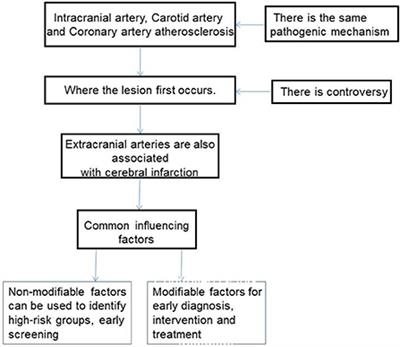 Research progress on risk factors related to intracranial artery, carotid artery, and coronary artery stenosis